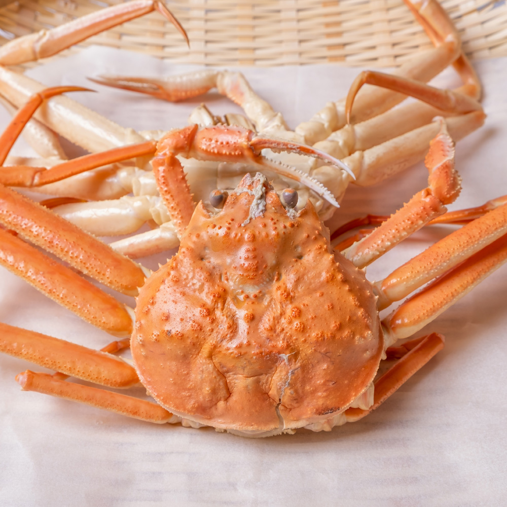 러시아 프리모리 자숙 박달대게 3미 4kg : 에이치투블루