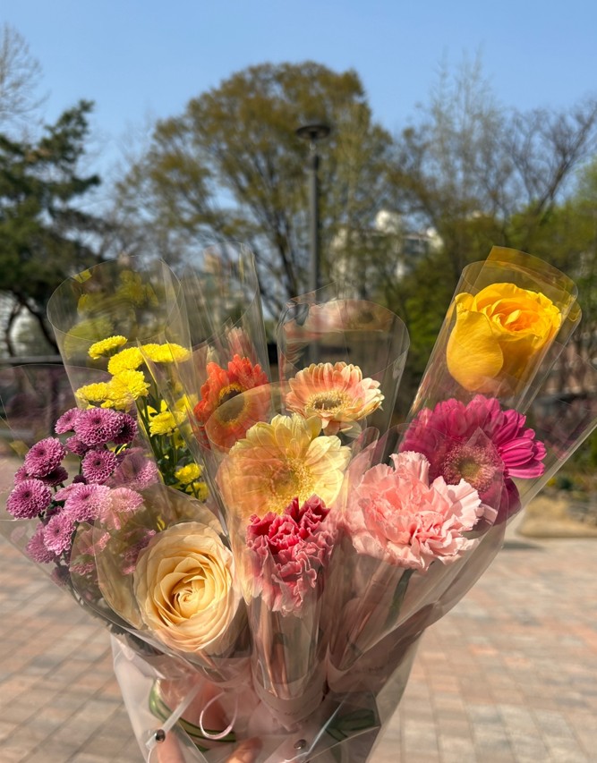 꽃집엘마 꽃한송이 포장 카네이션 한송이 꽃배달 싼곳 답례품 : 꽃집엘마