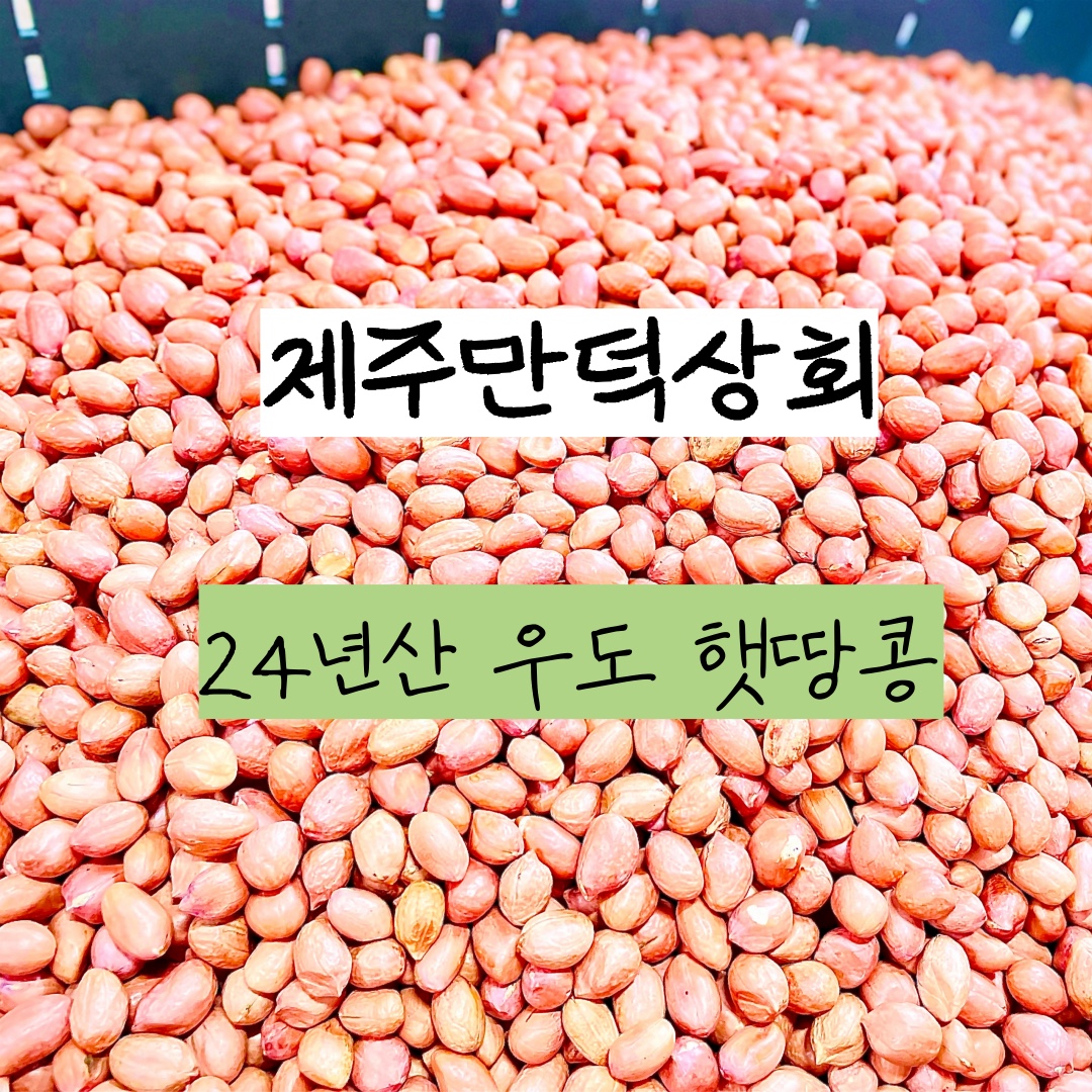 제주우도땅콩 견과류 국산땅콩 생땅콩 볶음땅콩 햇땅콩 : 제주만덕상회