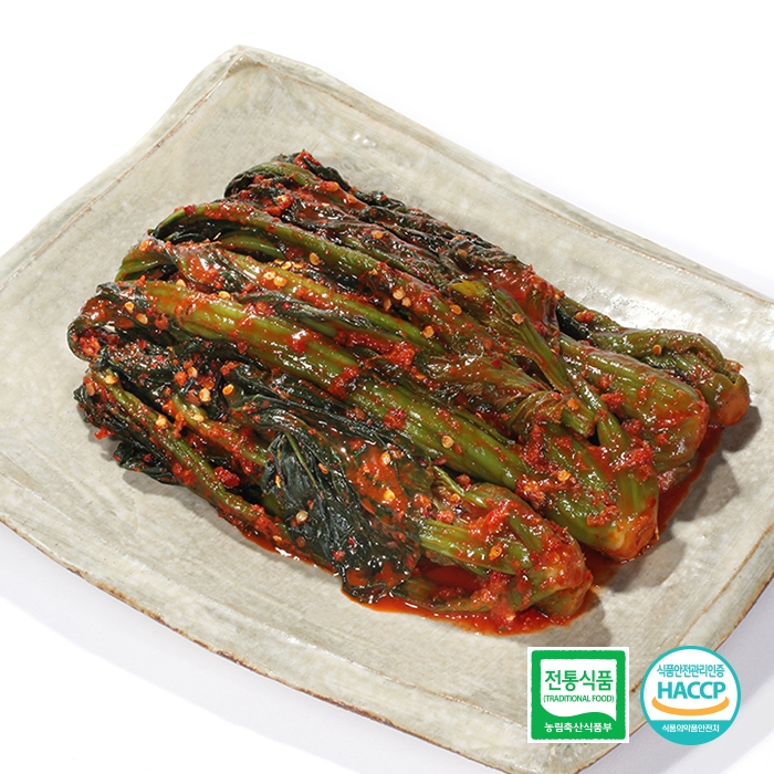 [김치家] 전라도 국산 갓김치 5kg : 광주김치몰