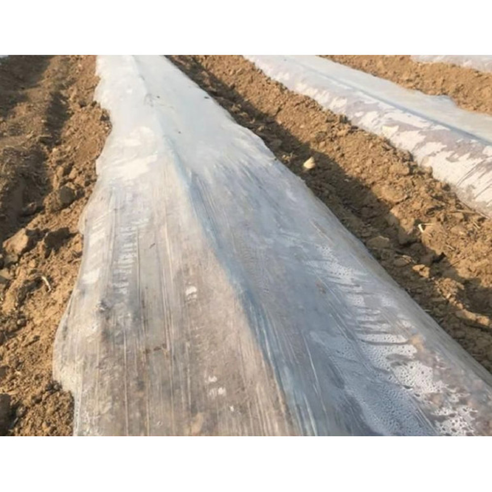 구지포 인삼천 잡초방지 매트 억제 조각 1x100m 농사용 매트 부직포 내구성 0 8사를 심고 0 8m 너비 100m를 심다 : 화이트트리002