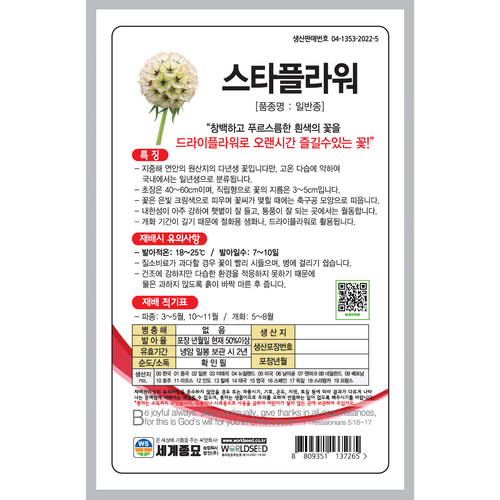 스타플라워 씨앗 5립 꽃씨, 꽃씨앗 : 한농아그로