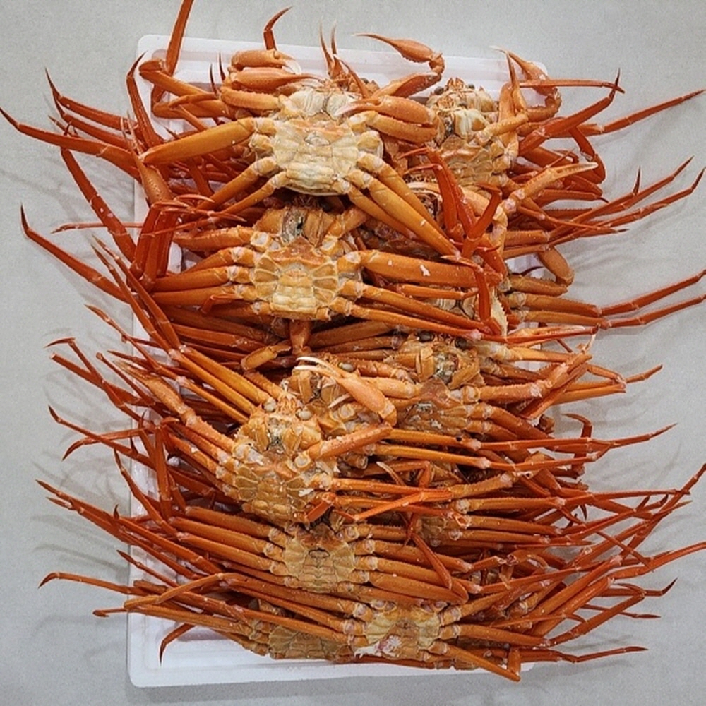 속초 자숙 홍게 붉은대게 8kg : 프로벨류