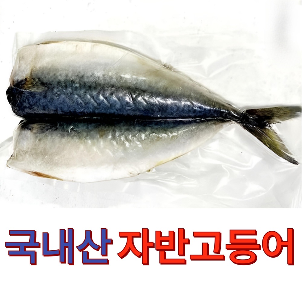 국내산 손질 냉동 자반 고등어 300g(4미) : 씨앗댁