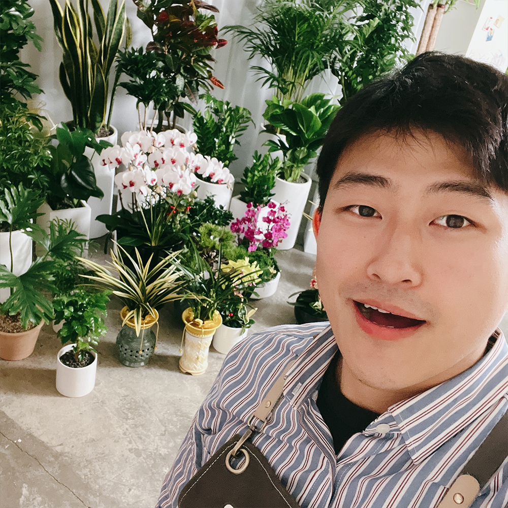 경기 남양주 축하화환 근조화환 금전수 개업화분 전국당일꽃배달 축하 선물 결혼식 장례식장 : 신호트리