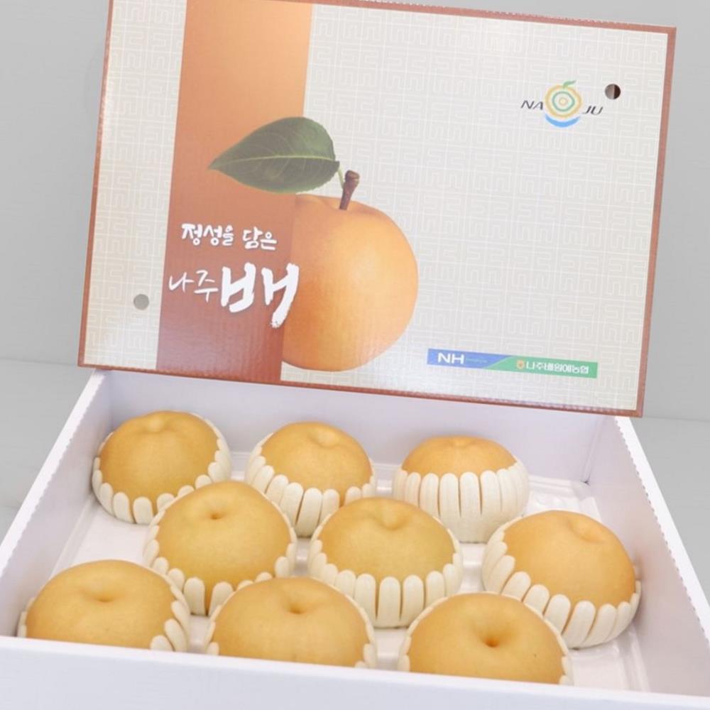 [다올] 신고배 햇배 나주배 못난이 가정용 5kg (8-10과) : 윤다올상회