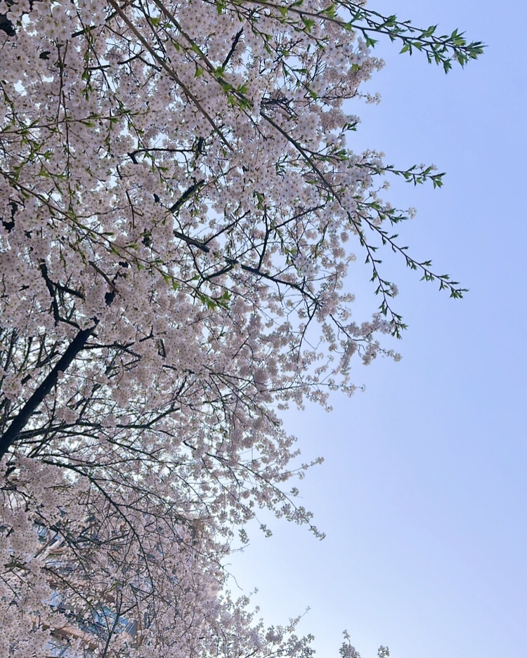 아x님♥ : 오앤므