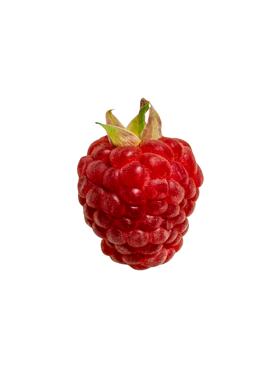 [당도선별] 프리미엄 생 산딸기 생과 1kg (무농약) : 프레델 fredel