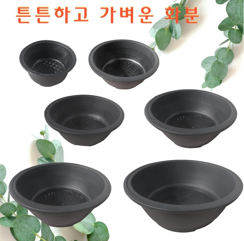 10+1 국산 원형 프라스틱 분재 화분 원분재 플분 낮은분재분 : 꽃누리가드너