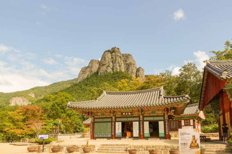 [강남테마여행사] 당일여행 부산출발 청송주왕산 : 강남테마여행사