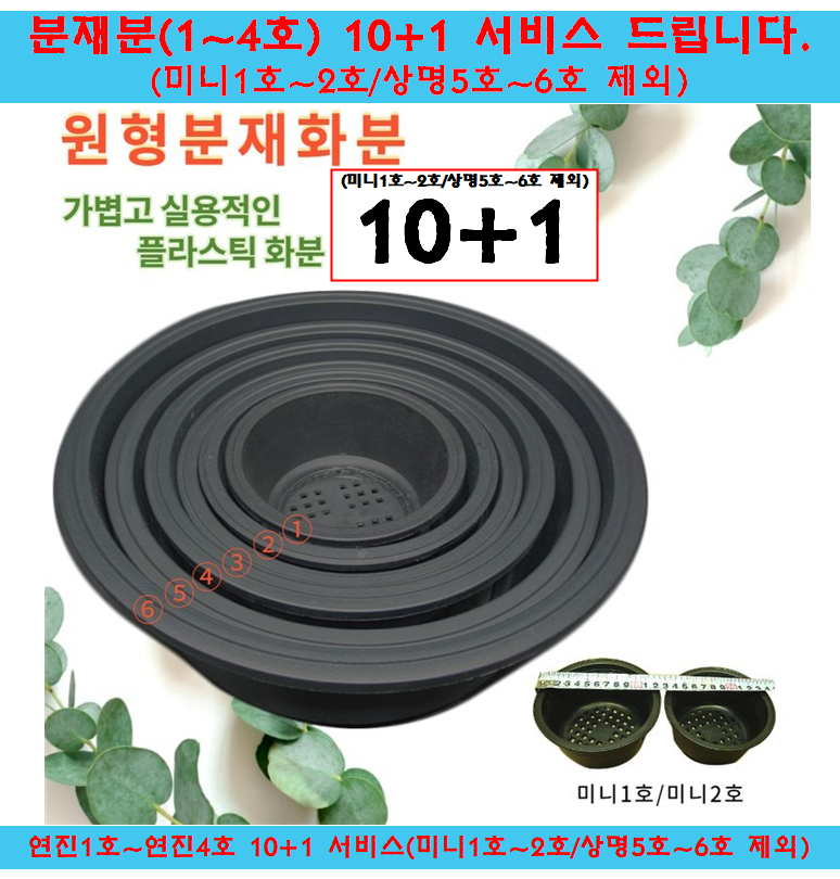 10+1 국산 원형 프라스틱 분재 화분 원분재 플분 낮은분재분 : 꽃누리가드너