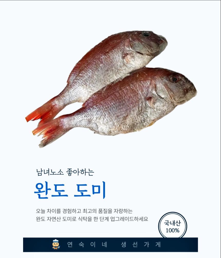 도미 완도 연숙이네 생선가게 자연산 반건조생선 : 빤짝이