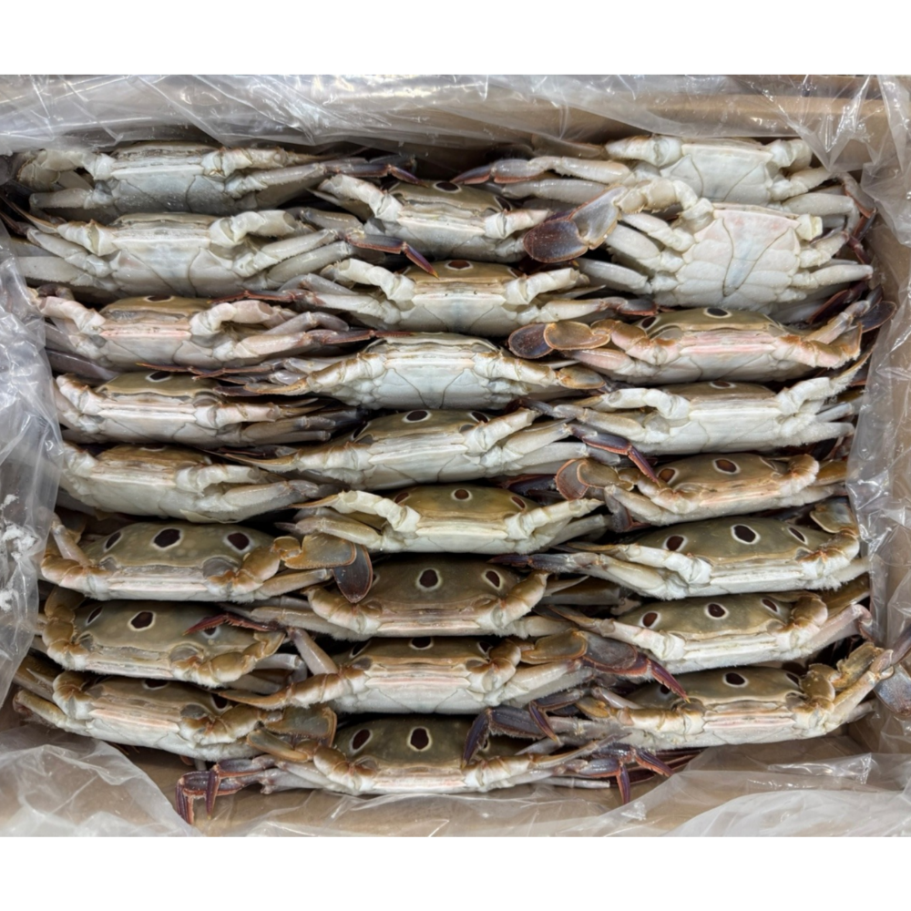 삼점게 꽃게 간장게장 6kg 급냉 라운드게 활꽃게 : 대길푸드