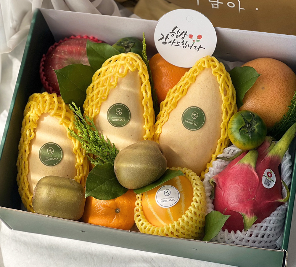 과일바구니 선물세트 상견례 이바지 백화점 출산 병문안 강남 서울 경기 안양 당일배송 : 과일 고이담아