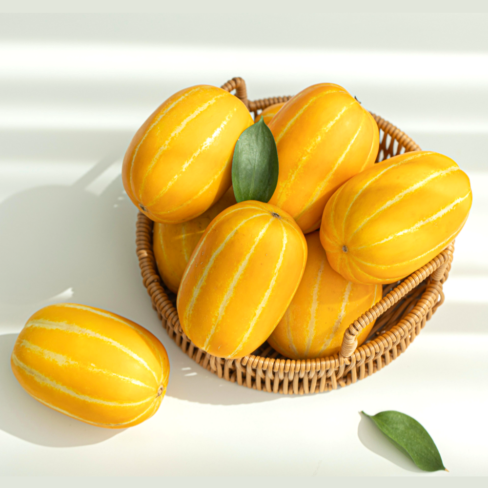 당도선별 성주 참외 실속형 가정용 꿀참외 10kg : 풋풋상회