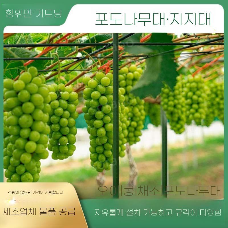 포도나무 지지대 넝쿨 오이 토마토 파이프 프레임 16mm(120x120) 3x8 특대 : 소라노
