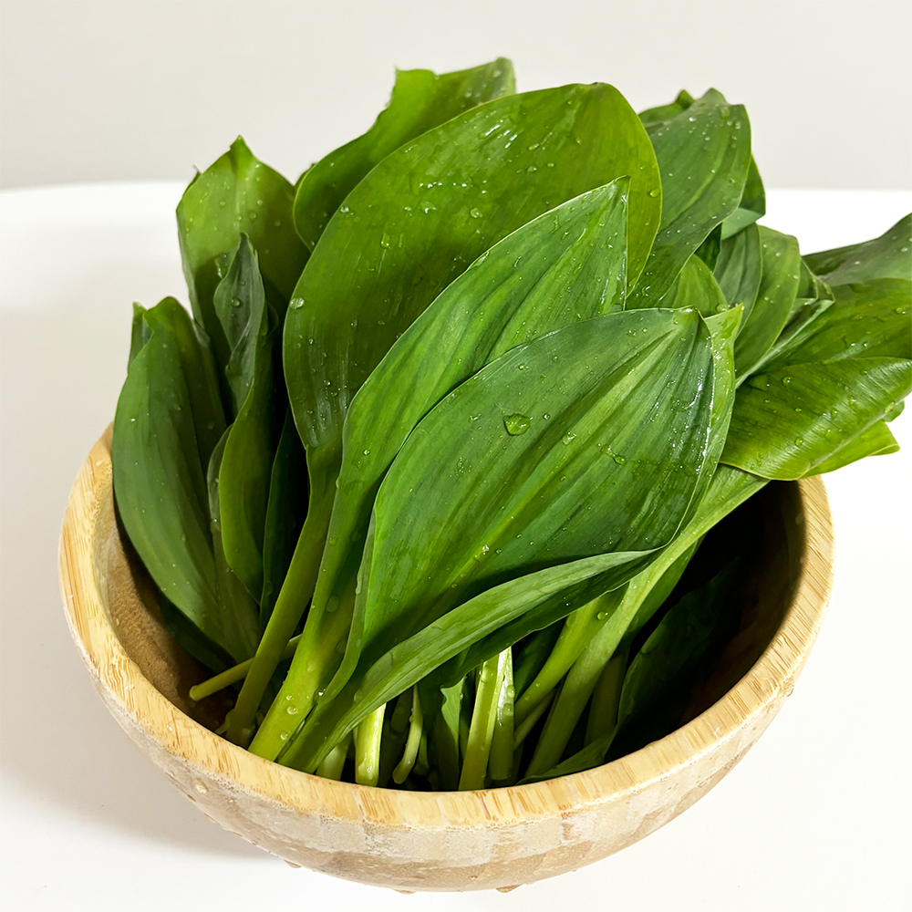 울릉도종 산마늘잎 생명이나물 잎명이 생채 1kg : 울릉허브