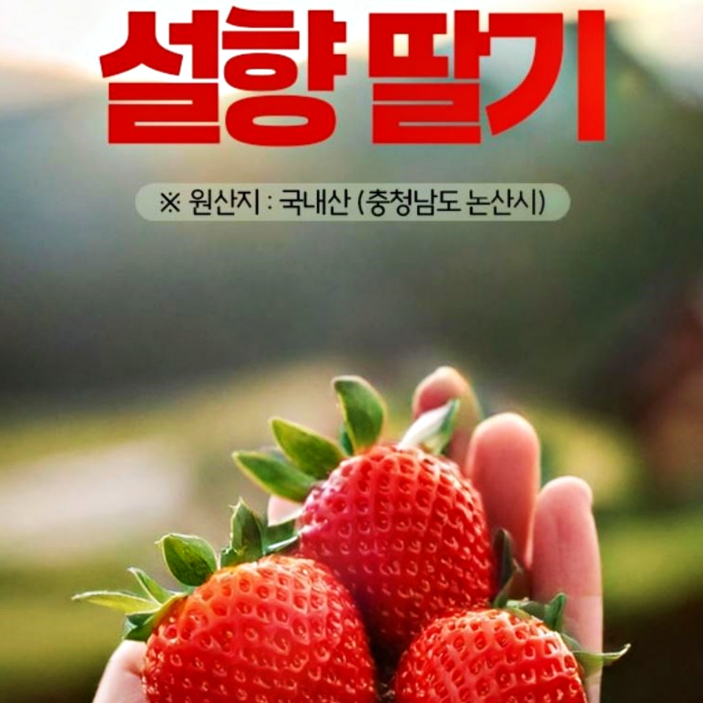 딸기제철 논산 딸기 설향 kg 고당도 특 : lovenluv 러브앤루브