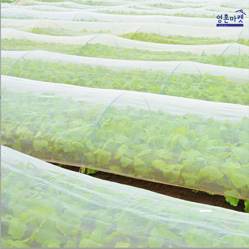 한랭사 한냉사 : 영혼마켓