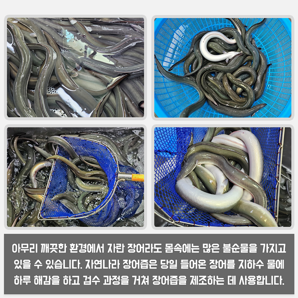 자연나라 국산 민물 장어즙 진액 100ml 30포 : 자연나라다슬기