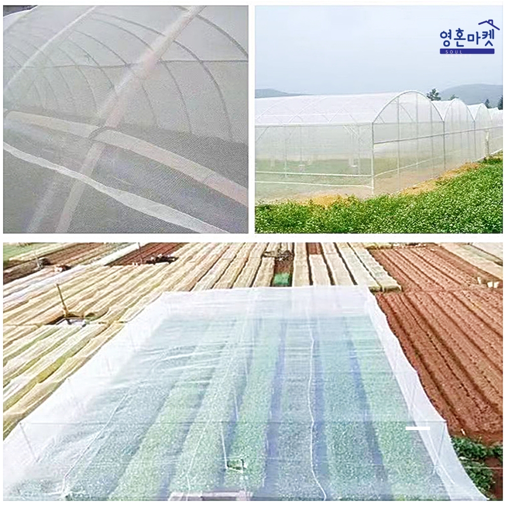 한랭사 한냉사 : 영혼마켓