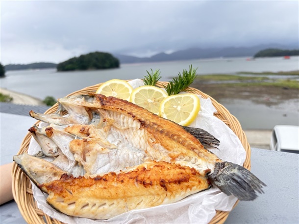 국내산 통영 반건조우럭 900g 4미내외 손질생선 : 맛채움