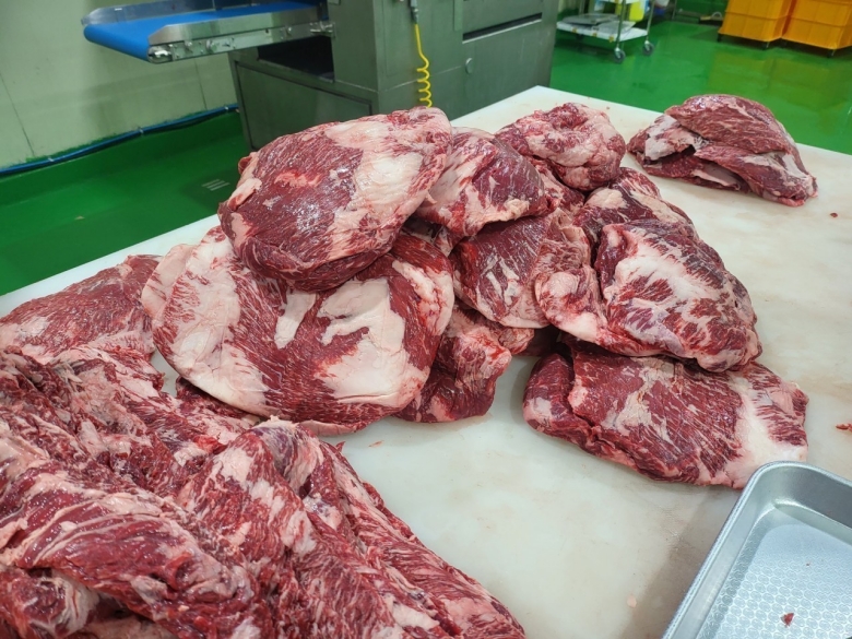 한우 1등급 소 한마리 소고기 세트 모듬 1.2kg 소고기 한판 : 어반농수산