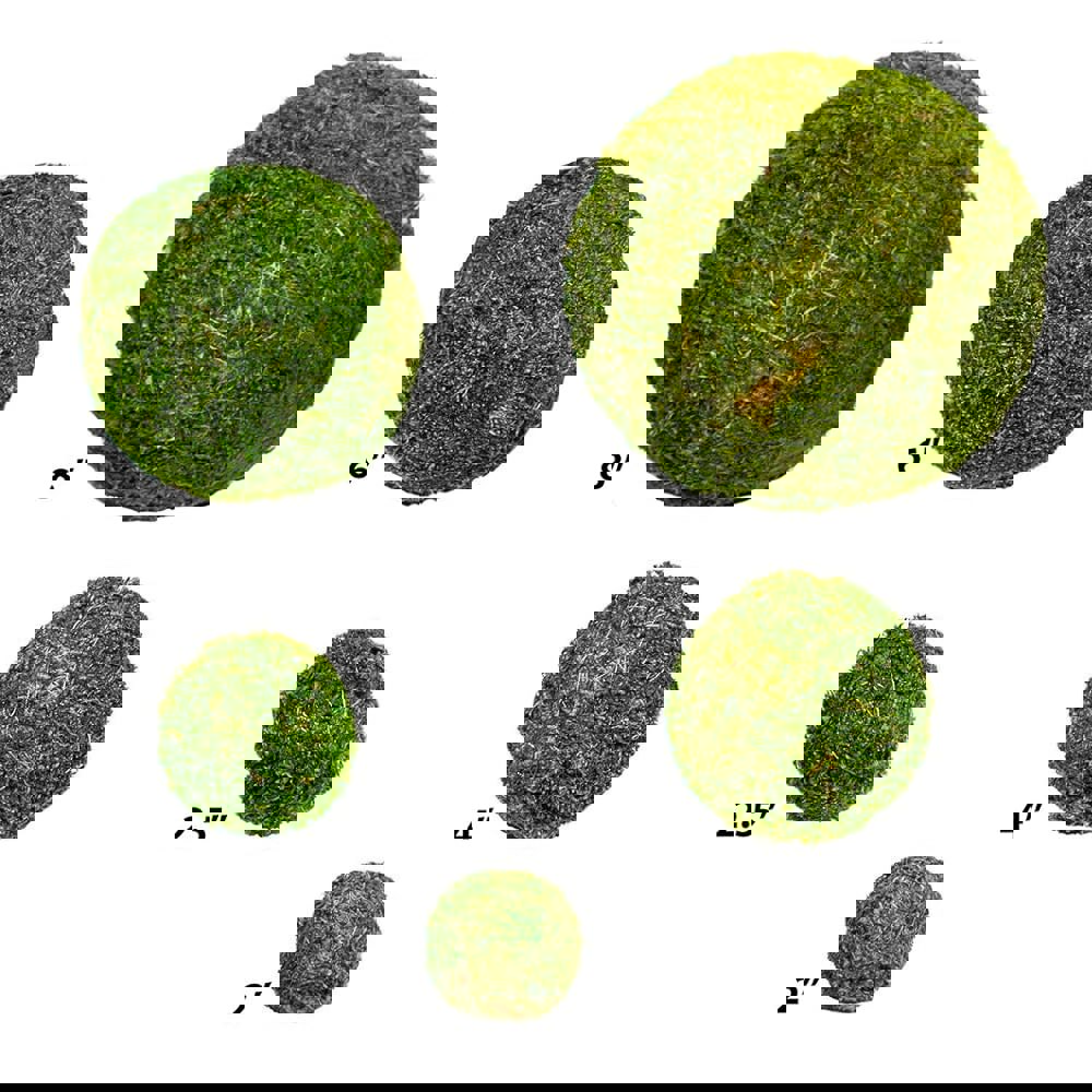 슈퍼모스 21769 모스 프레시 그린 2팩 Fresh Green 2 : 브릭스 마켓