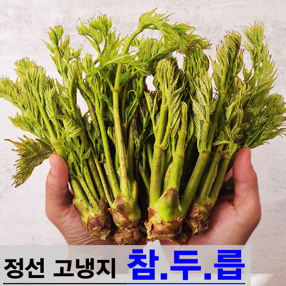 강원 정선 엄나무순 참두릅 곤드레나물 곰취나물 명이나물 오가피순 어수리 눈개승마 취나물 : 장군농수산