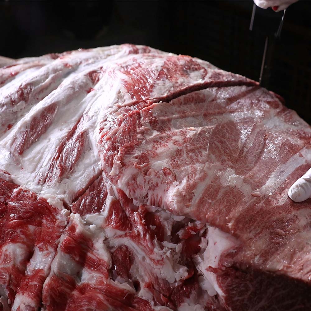 노다지 얼큰 뼈없는 갈비탕 1kg 5팩 한우 사골 무뼈 해장국 갈비국 간편조리 즉석탕 : 인포벨홈쇼핑