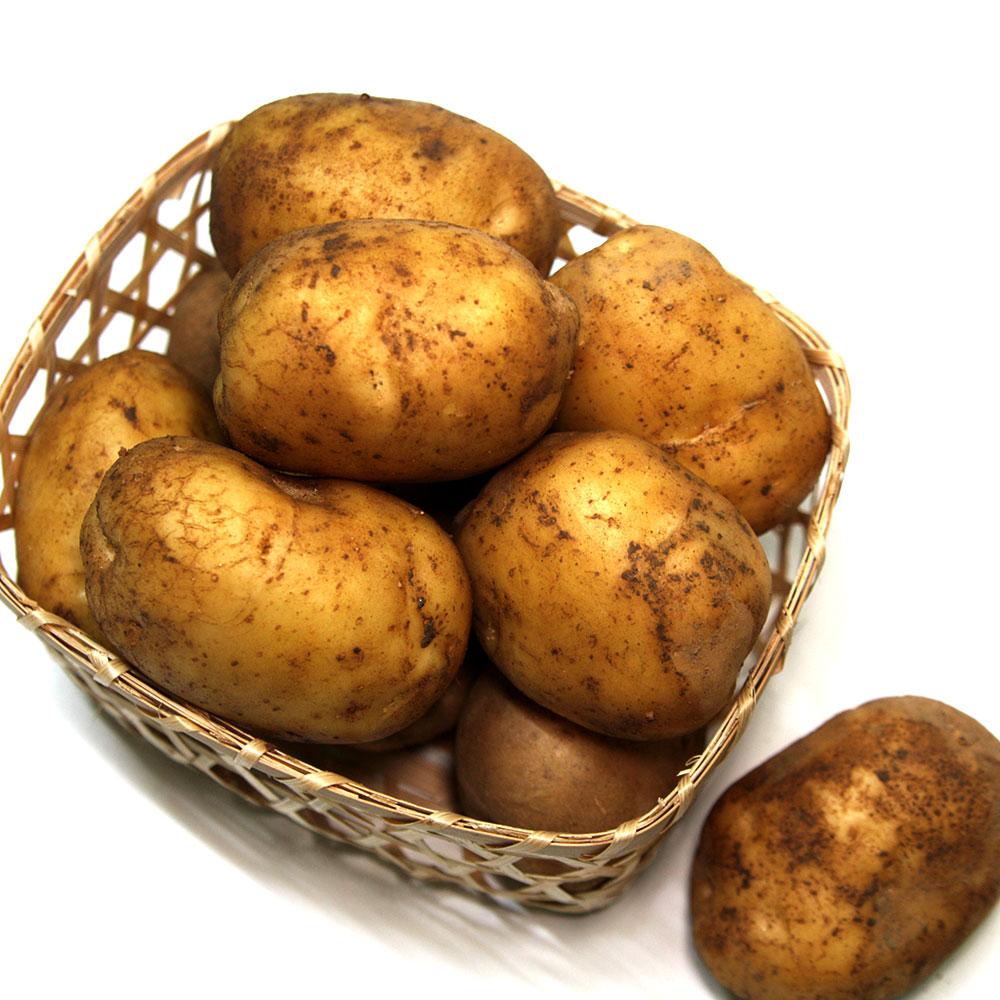 2025감자 수미감자씨감자 포슬한 다이어트 감자 국내산 3kg5kg10kg : 율이네식탁