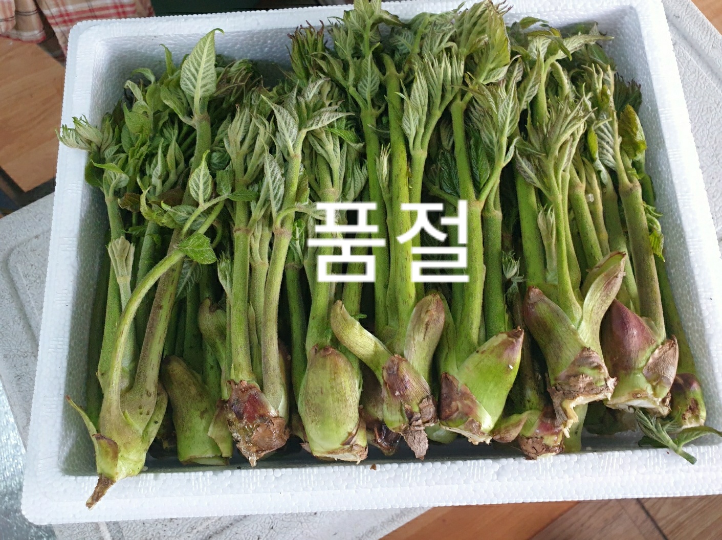 두릅 판매 참두릅 국산 충주 복상골 자연산 첫순 원순 오갑산 500g 1kg : 복상골농원
