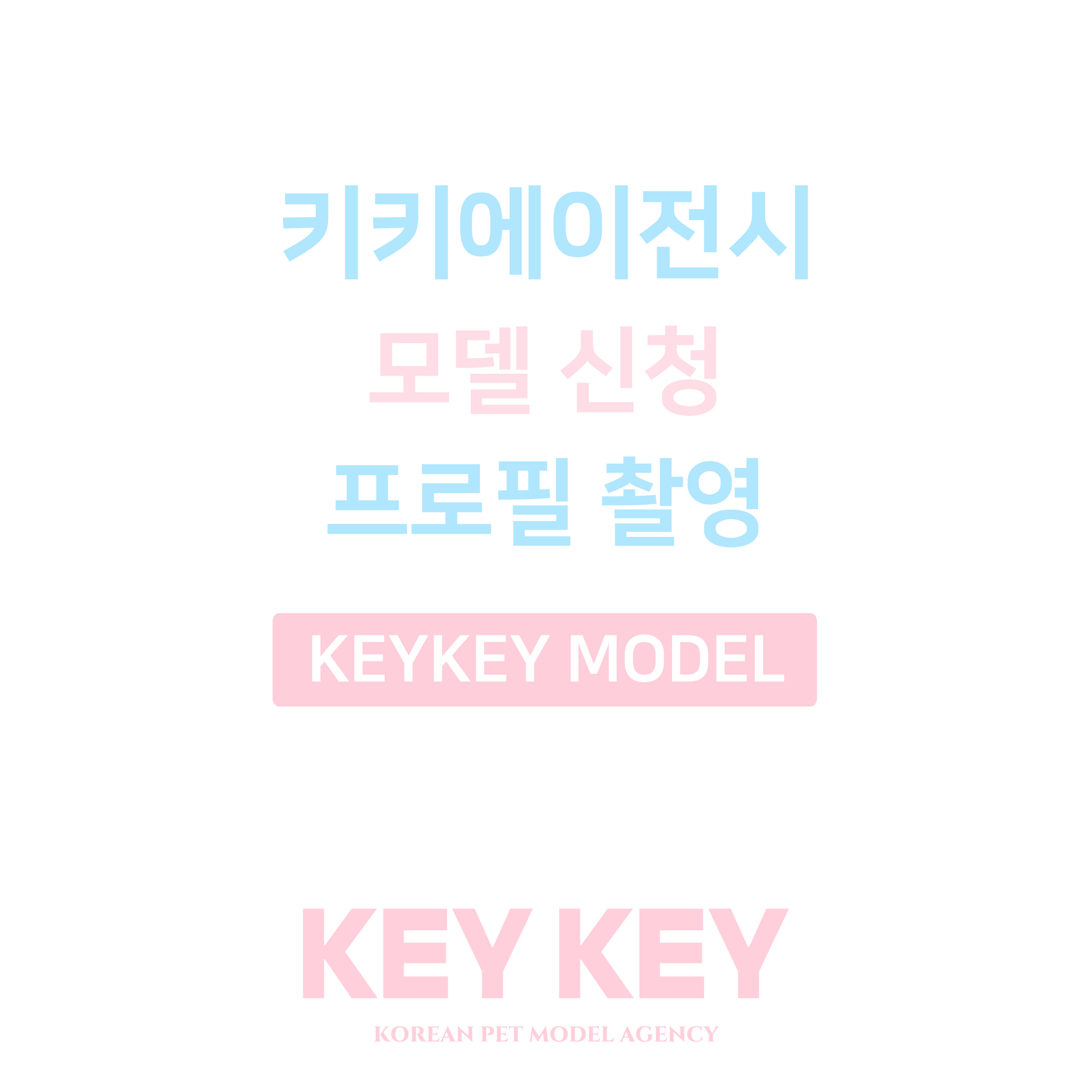 [키키에이전시] 프로필 : 꽃보다펫