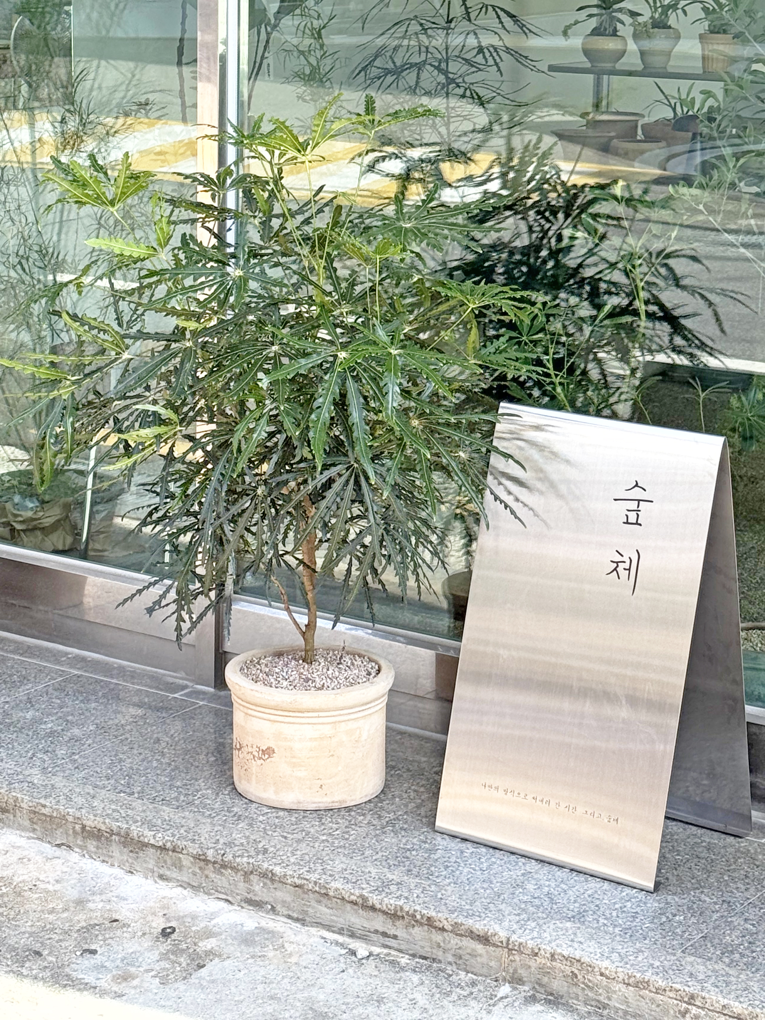 숲체_그 자리_청아랄리아 : 숲체