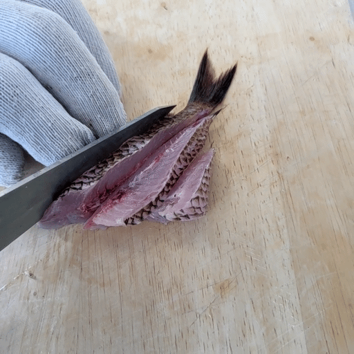 제주 자리돔 횟감 자리돔회 2kg 손질후 나눠서 진공포장 자리회 자리물회 제주한림수산 : 제주한림수산