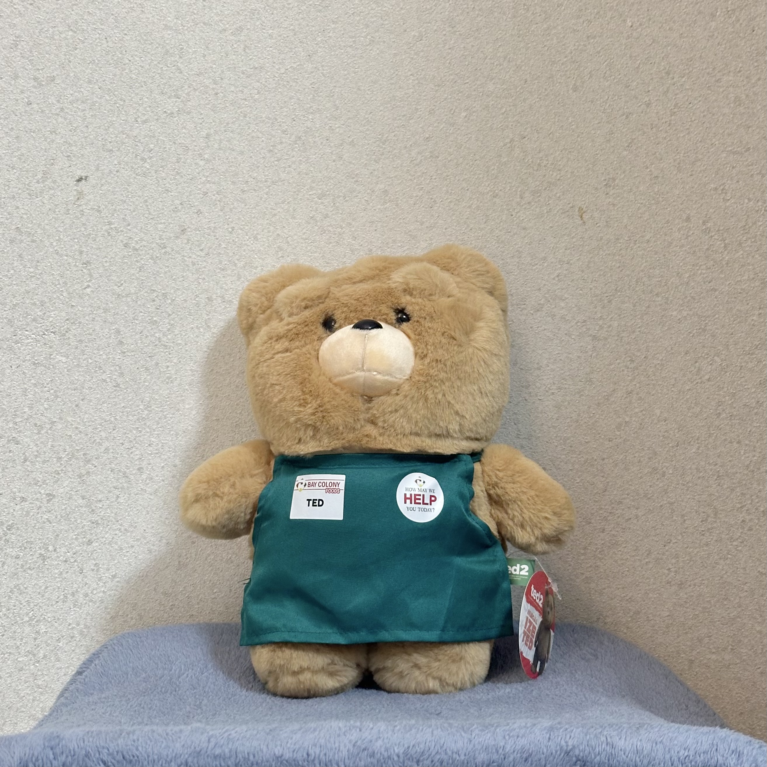[오픈이벤트] 정품 19곰 테드 인형 30cm 그린 앞치마 : 소품상점 402호