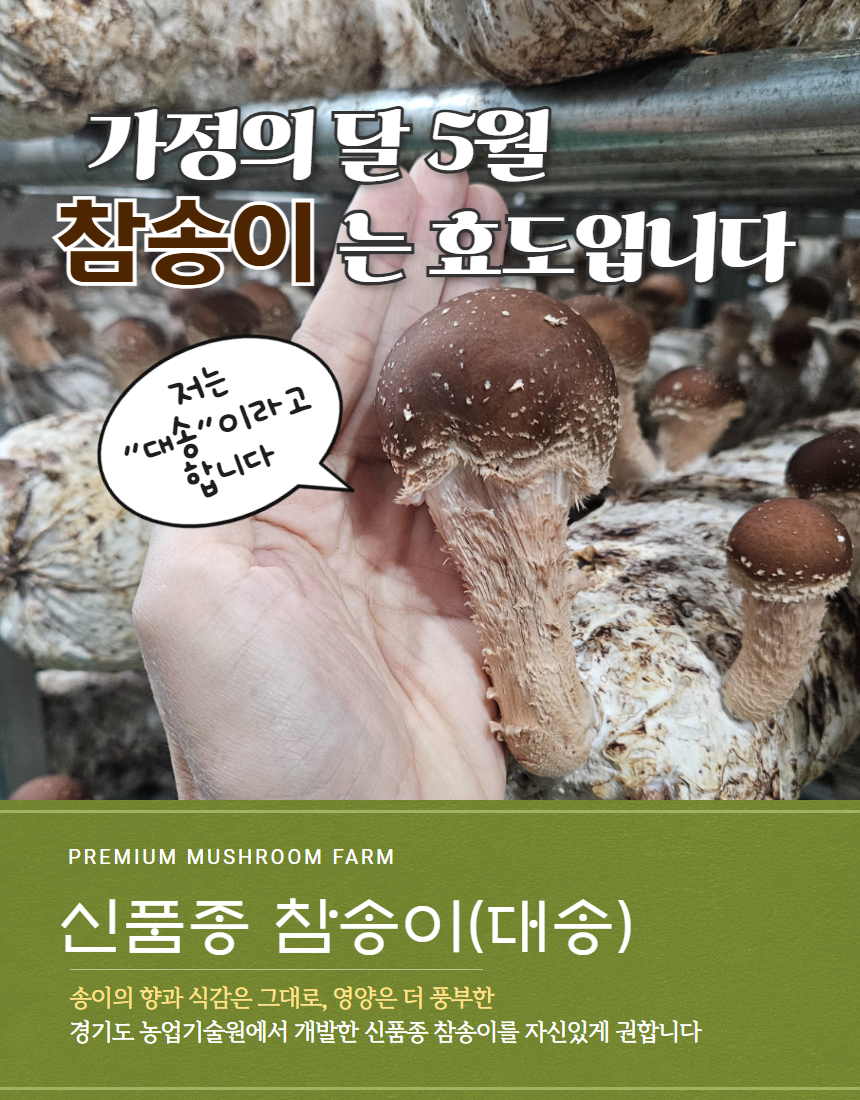 [가정의달] 100% 국내산 프리미엄 참송이 대송 가정용 선물용 (500g / 1kg) : 푸룸네이쳐