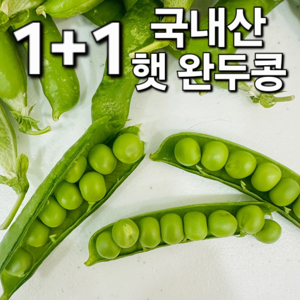 1+1 국내산 햇 완두콩 1kg 2kg 3kg 콩 잡곡 햇완두콩 : The 바른