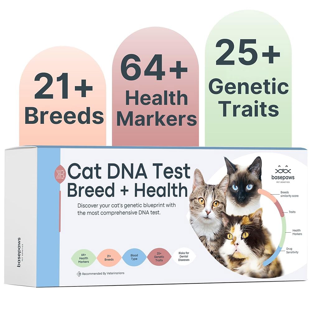베이스포 고양이 DNA 테스트 키트 정확하고 사용하기 쉬운 유전 인사이트를 위한 114가지 형질에 걸친 종합적인 품종 건강 치과 분석... 