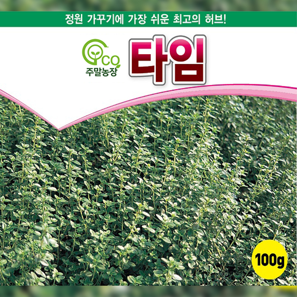 허브씨앗종자 타임 1000립 : 코코주말농장