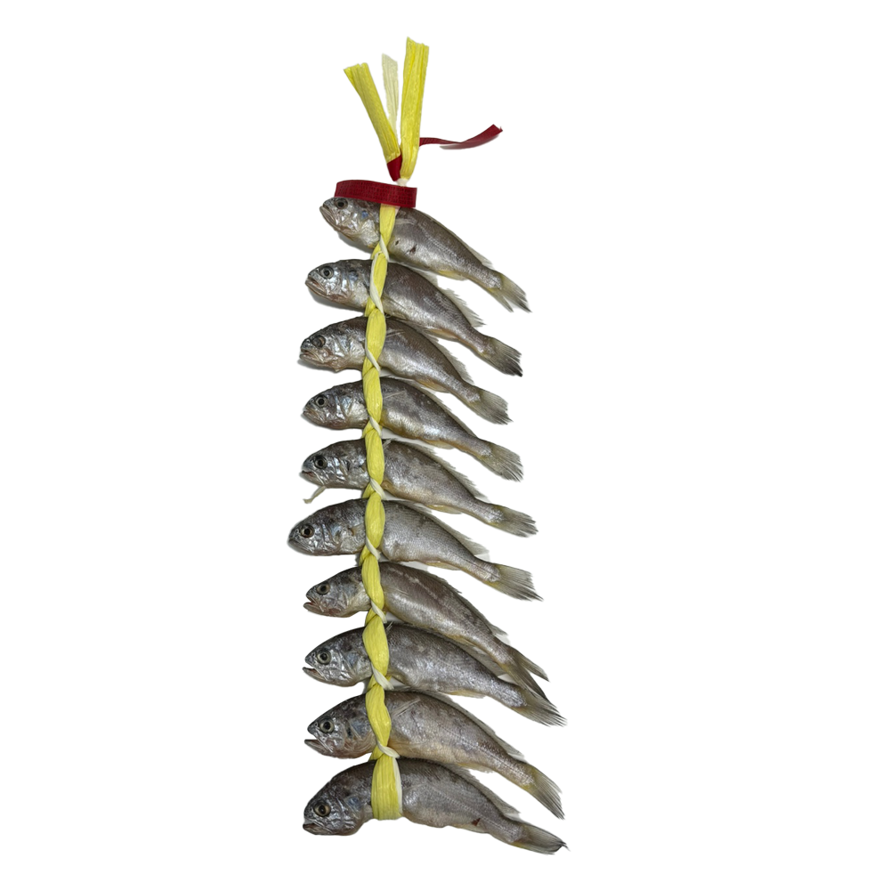 영광 참굴비(3호) 10미 700g/금호통상 : 푸드엔마트