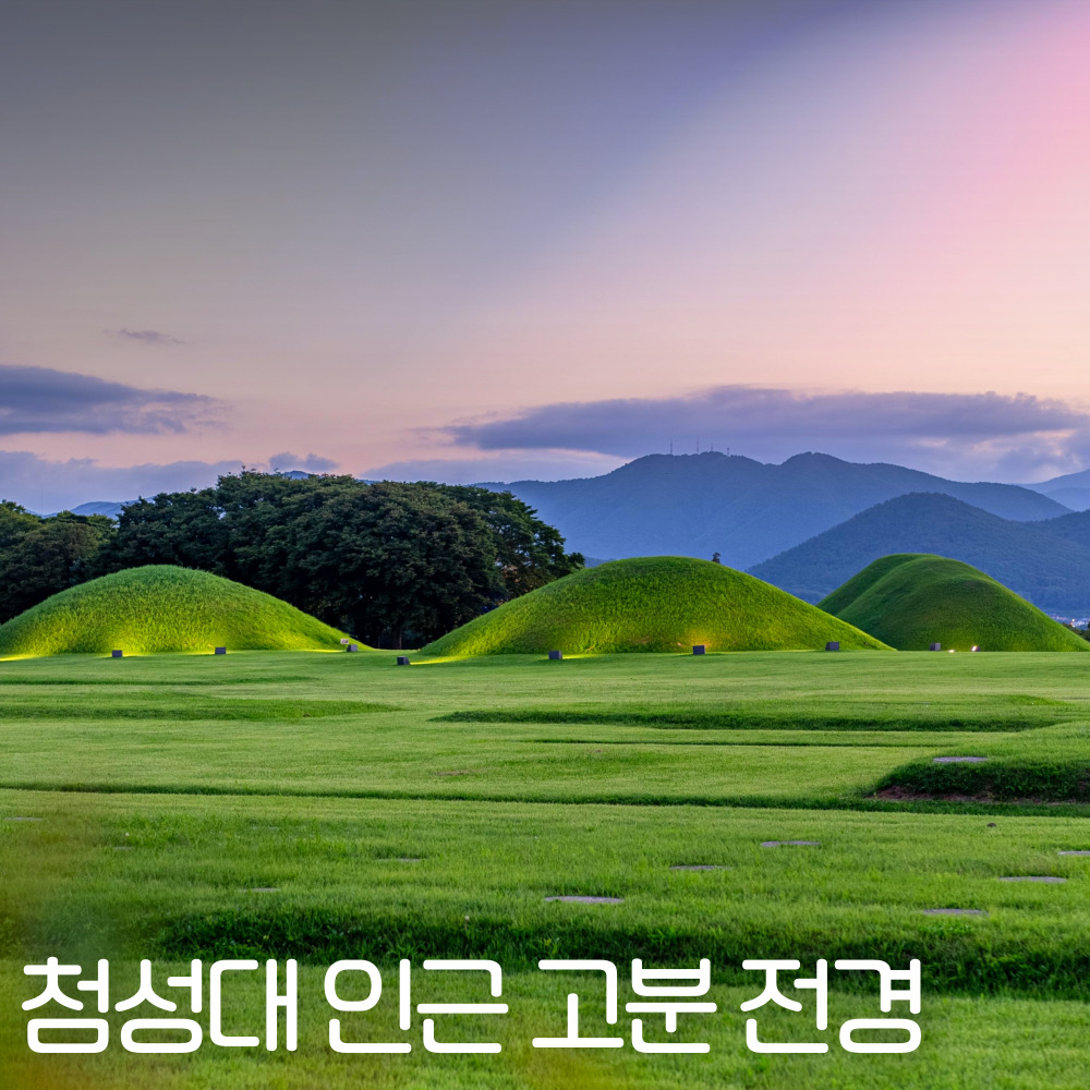 경주 문화해설 역사여행 문화해설사 동행설명 야경투어 : 돌고래여행사-돌핀스토어