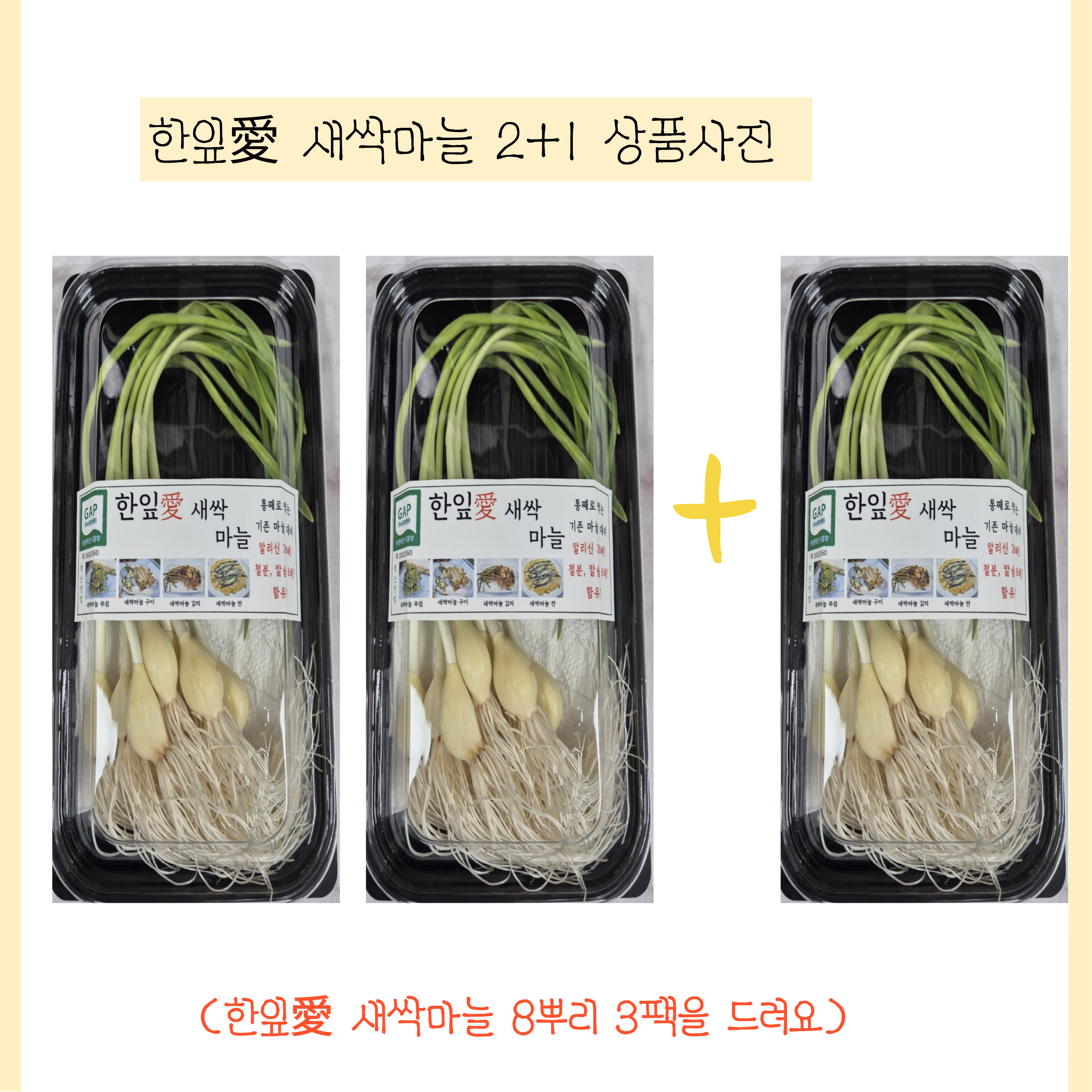한잎愛 새싹마늘 (8뿌리)  2+1 상품 : 한잎애