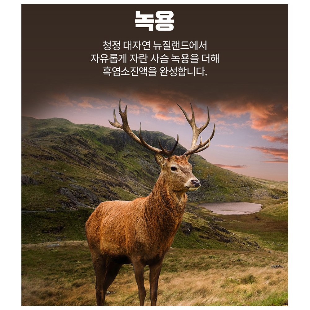 100% 흑염소진액 엑기스 토종 녹용 30포, 1개 : Inn Home