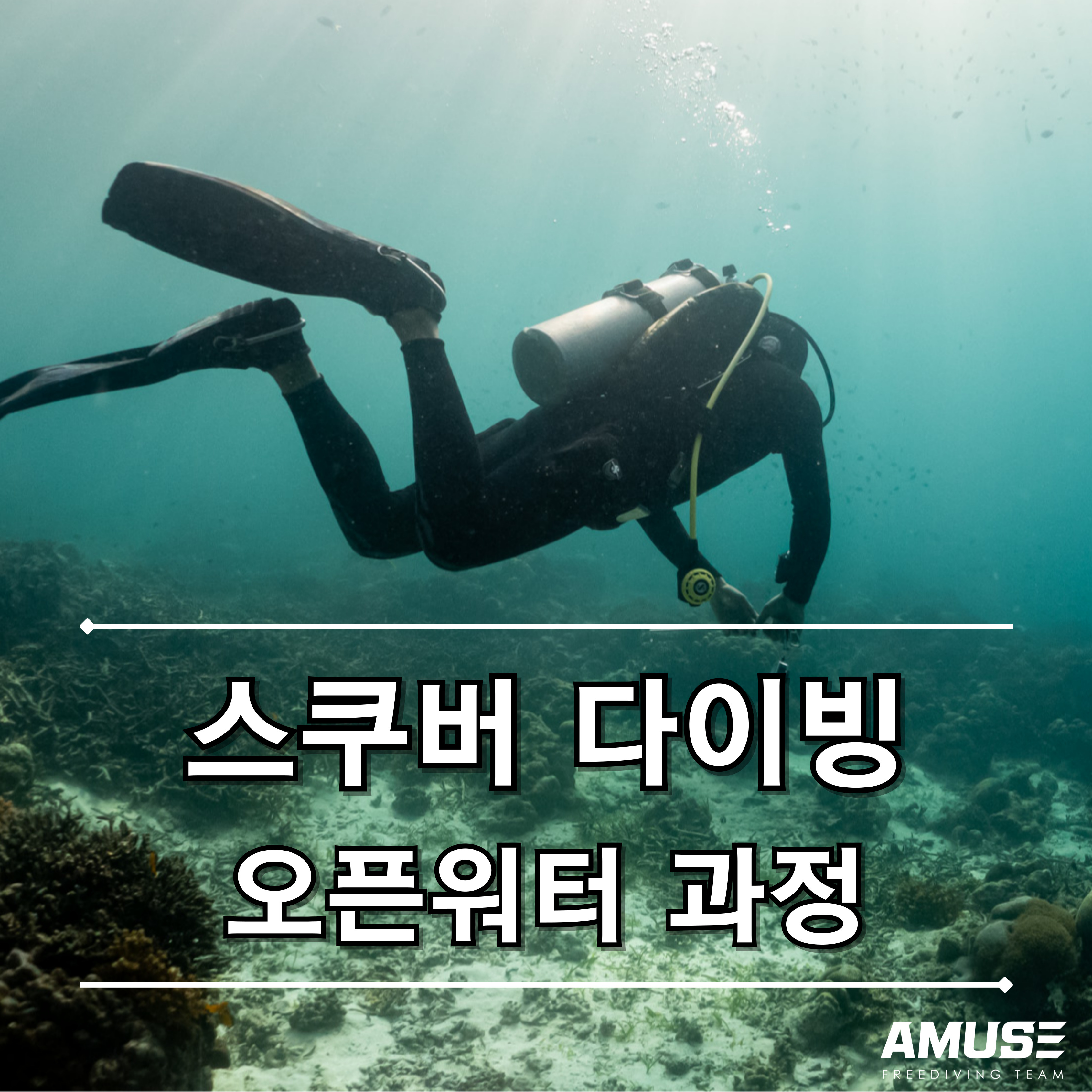 [아뮤즈] 서울/경기 스쿠버다이빙 오픈워터 과정 : 아뮤즈 프리다이빙