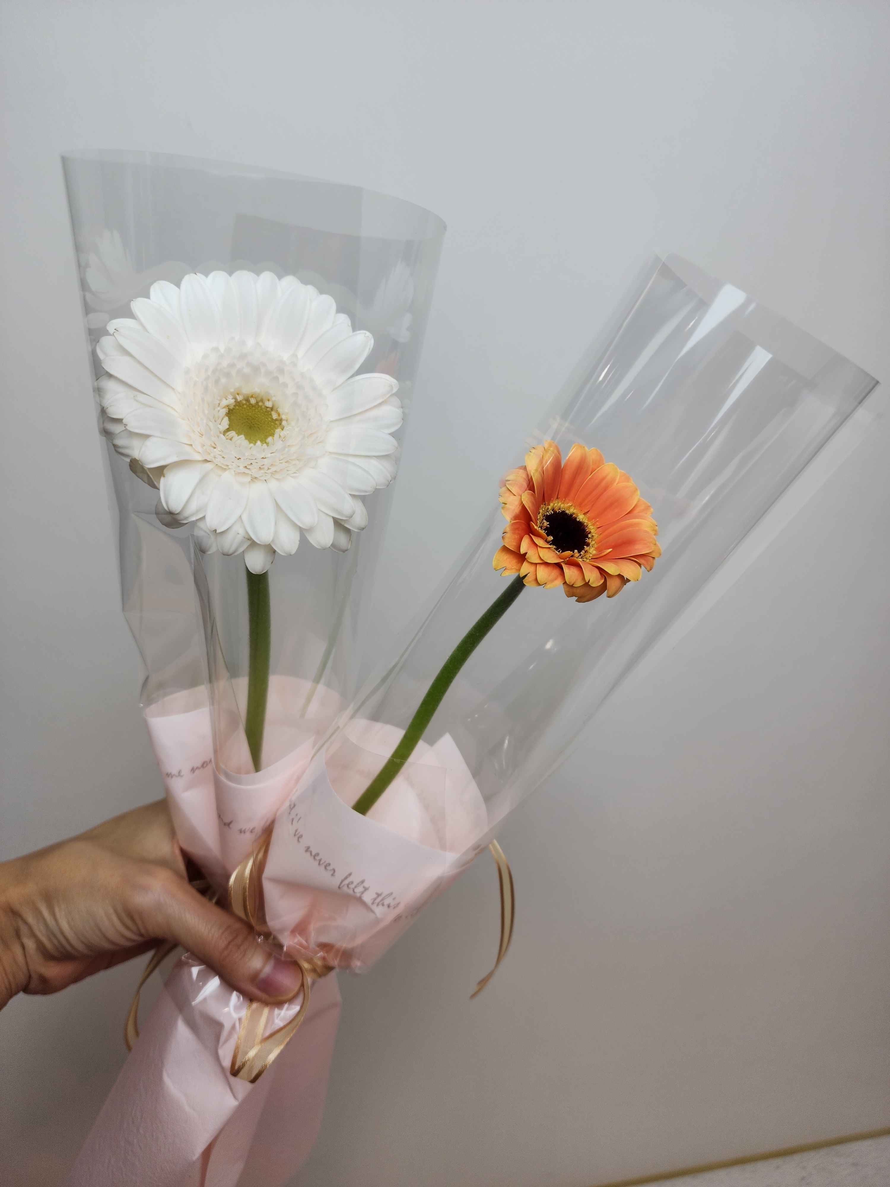 그린뷰마켓 포장된 한송이 생화 꽃 꽃배달 기념일 꽃선물 어버이날 스승의날 가정의달 선물추천 : 그린뷰마켓