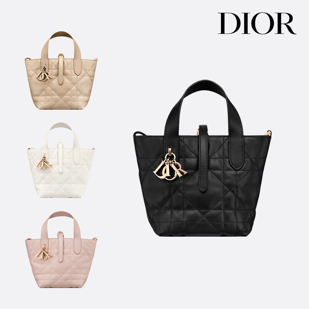 디올 Dior Toujours 까나쥬 나노 토트백 S6100OSNW : 세르세이