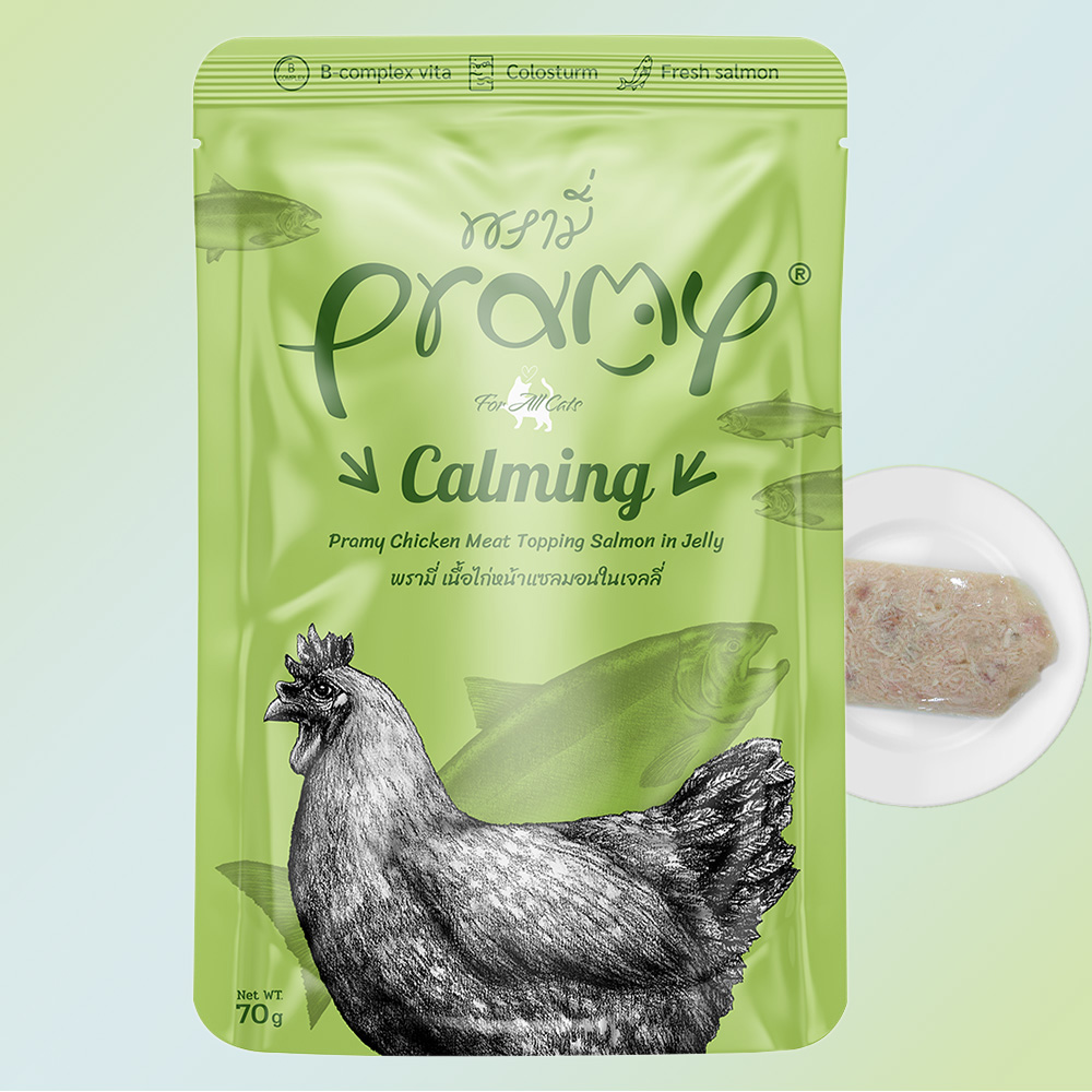 프라미 고양이 간식 습식 파우치 치킨+연어젤리, 70g, 12개 : 함께하는온세상