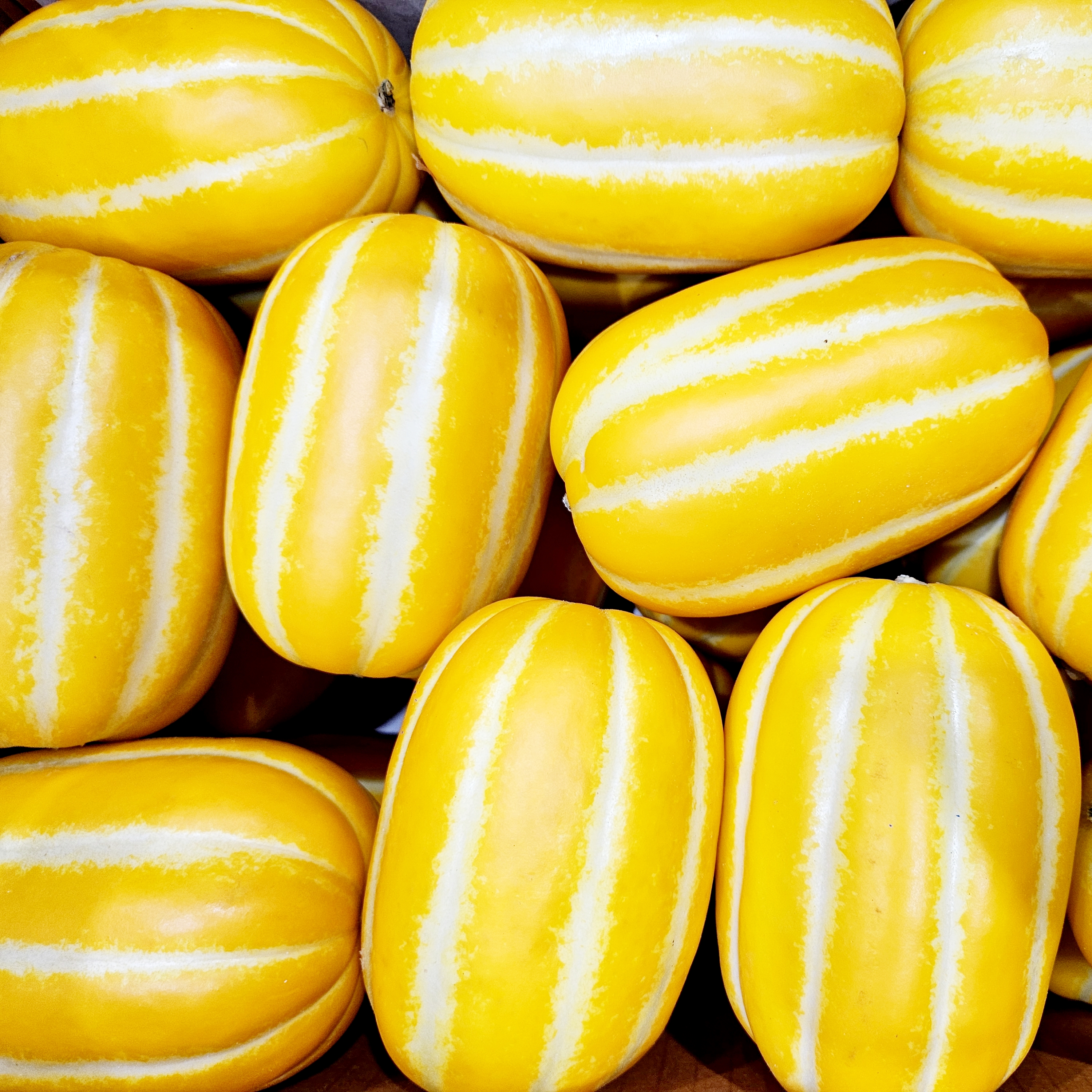 성주 참외 꿀 참외 가정용 못난이 참외 6kg, 1개 : 땡큐네이처몰