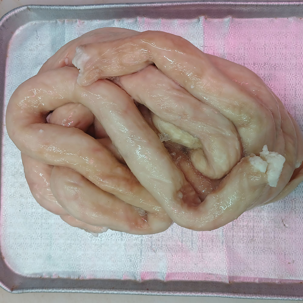 당일도축 신선한 한우 대창 600g 생대창 냉장 구이 전골 : 집앞정육점